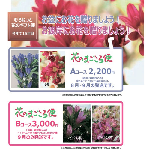 花のまごころ便